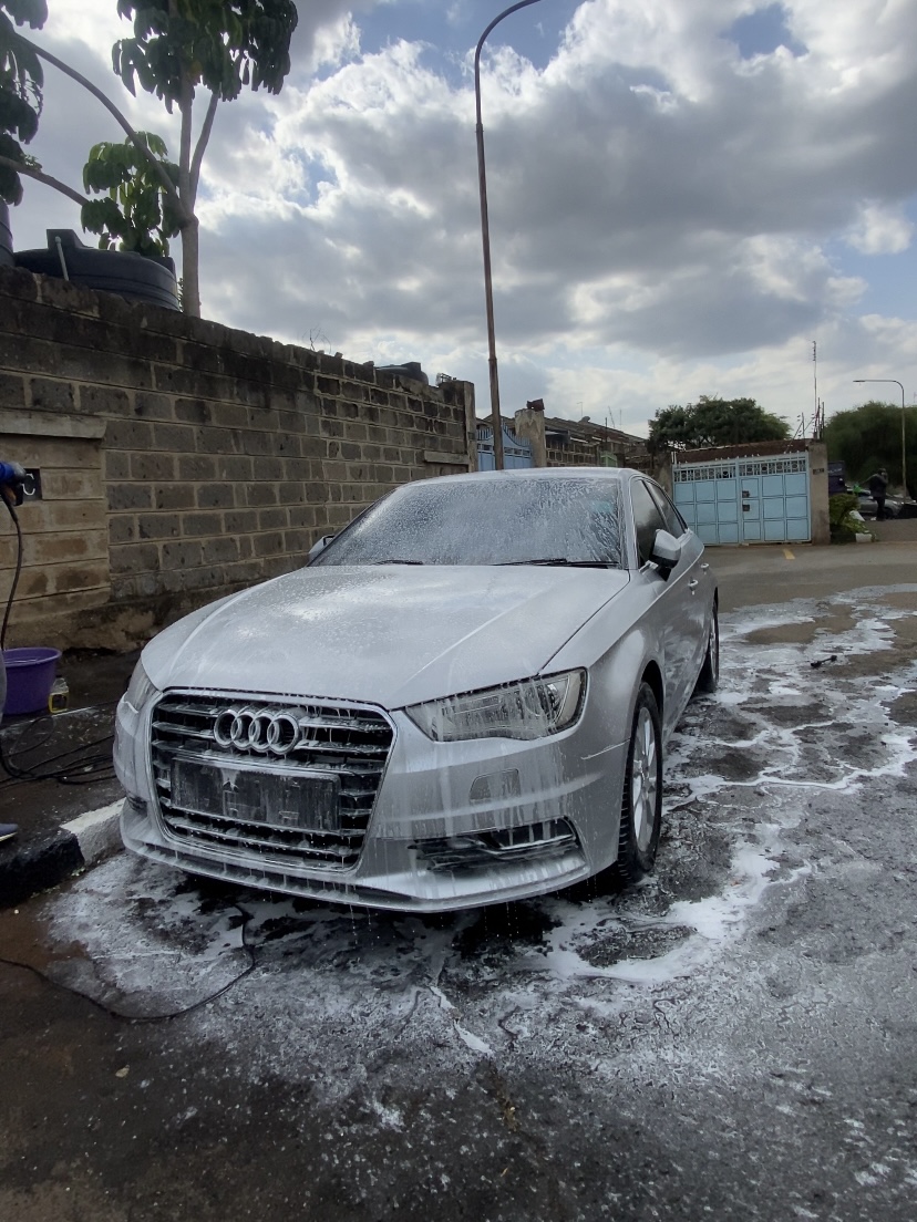 Audi Exterior Clean